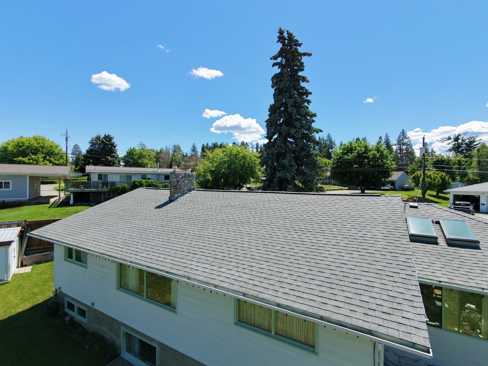 Aerial view of a grey shingle roof treated with NuRoof backing onto a treeline
